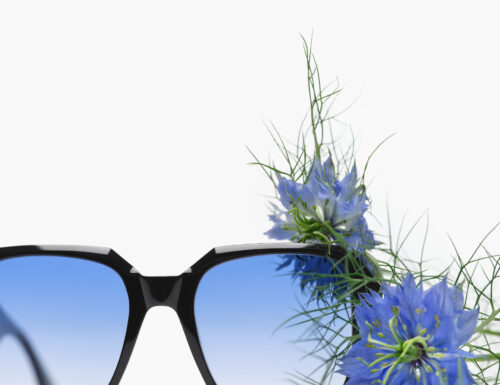 LVRSUSTAINABLE di LUISAVIAROMA annuncia una collaborazione sostenibile con il brand di occhiali EOE
